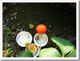 DSCF0829