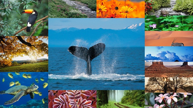 [Sample Pictures[11].jpg]