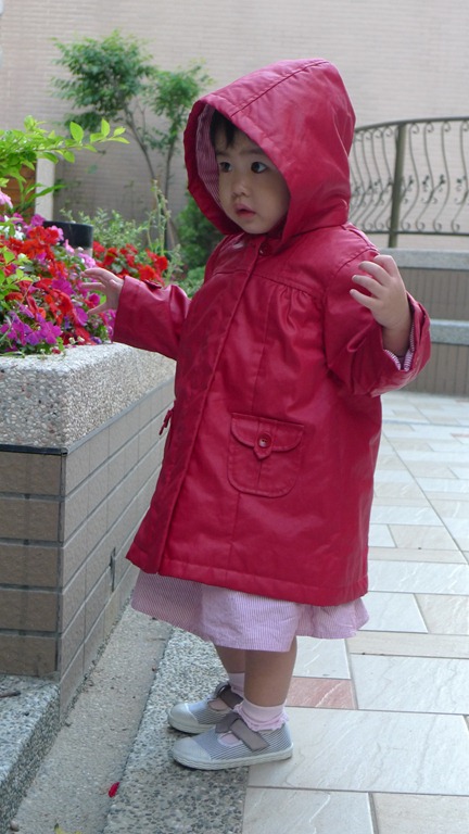 [P1050605[5].jpg]