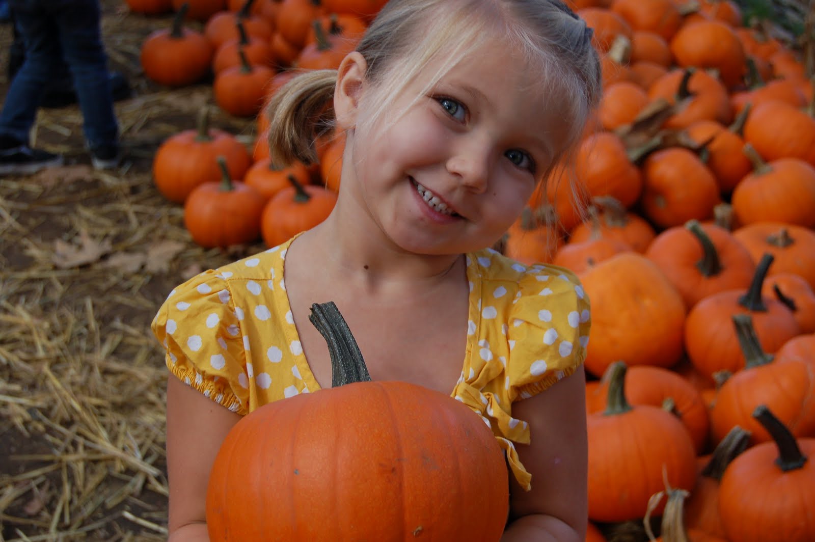 [DSC_0395[6].jpg]