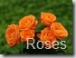 roses 1600x1200 (2)