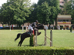 Horse show during the festivals of Burgos.