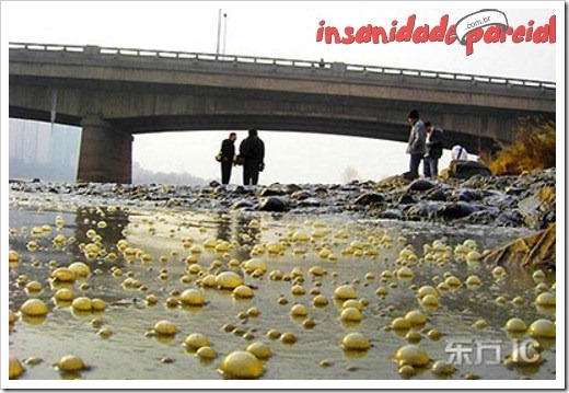 InsanidadeParcial-10_01_11-009