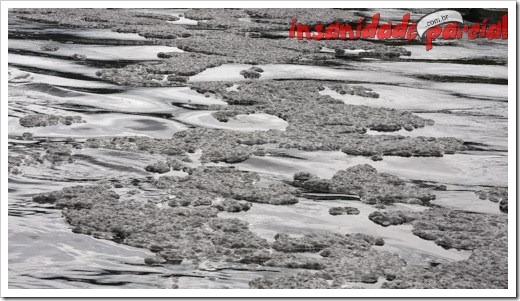InsanidadeParcial-10_01_11-016