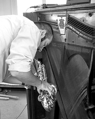 [piano harp[3].jpg]