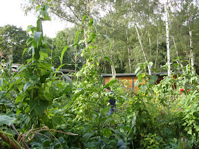 SDC12545.JPG