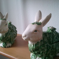2011-02-18 12.33.17.jpg