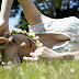 [@misty] Kiss Collection EX  Yumi Sugimoto (29/76) (18)