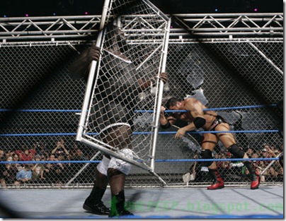 Steel cage Steel cage
