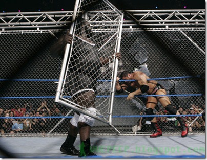 Steel cage