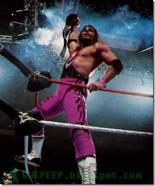 11 Bret Hart WWF Champ