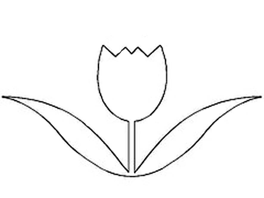 [tulipa[3].jpg]