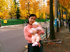 Mùa thu Hàn Quốc