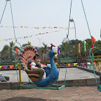 IMG_0495.jpg