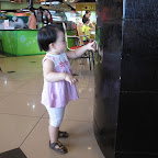 IMG_1098.jpg