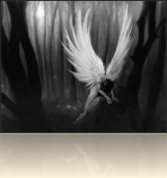 anjosolitario