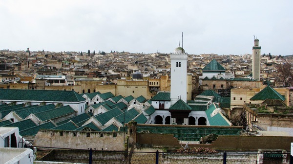 [fez08[5].jpg]