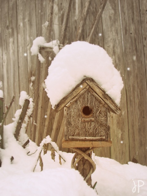 [birdhouse in snow wm.jpeg[10].jpg]