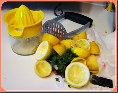 lemonade tools wm.jpeg