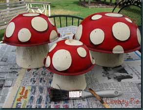 mushrooms 3 wm.jpeg