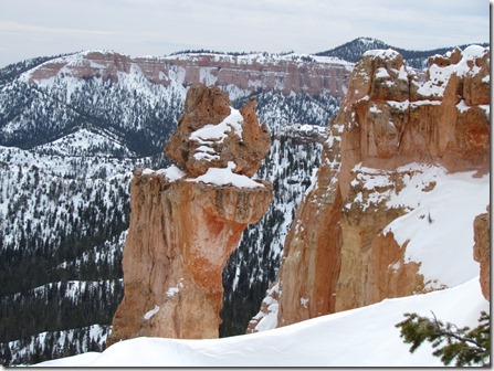 Bryce Canyon National Park 041