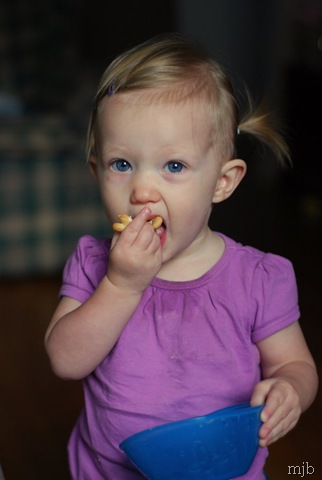 [DSC_0532[7].jpg]