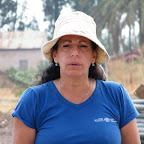 בית הכנסת במגדל Migdal