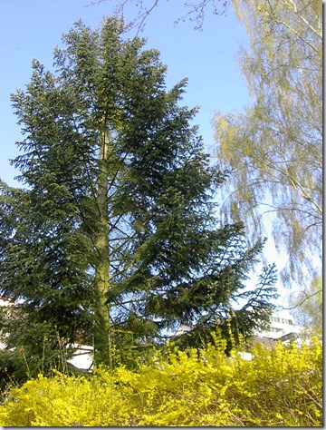 Bibsgarten 021