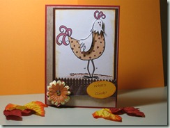IMG_0541 IMG_0541