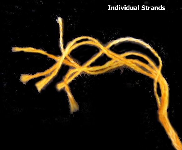 [Individual strands[4].jpg]