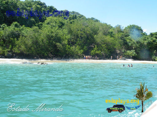 Playa Caribe M117 estado Miranda, Entre las mejores playas de Venezuela