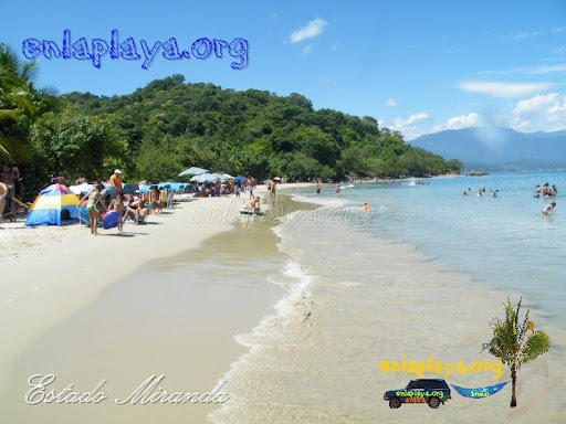 Playa Caribe M117 estado Miranda, Entre las mejores playas de Venezuela