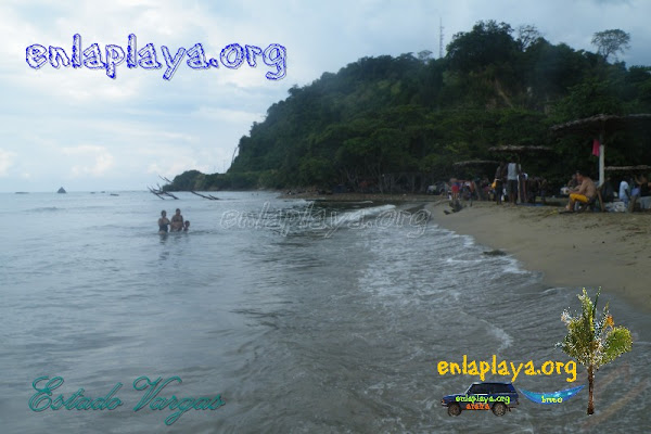 Playa Todasana V029