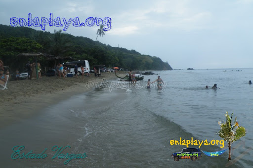 Playa Todasana V029