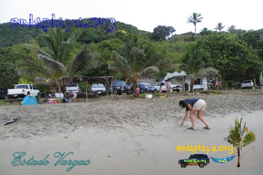 Playa Quebrada Seca V031