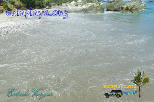 Playa Punta Care V043