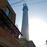 DSC_1199.jpg