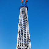 DSC_1237.jpg