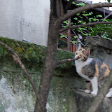 DSC_0702.JPG