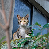 DSC_0707.JPG