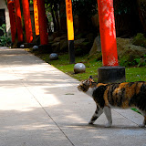 DSC_0713.JPG