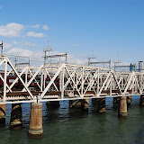DSC_0767.JPG