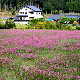 DSC_1019.JPG