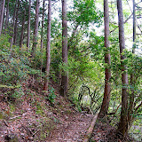 DSC_1033.jpg