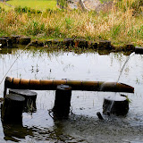 DSC_1102.JPG