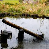 DSC_1104.JPG