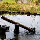 DSC_1105.JPG