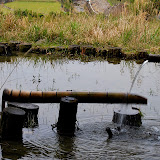 DSC_1107.JPG