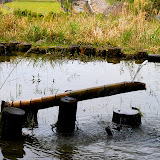 DSC_1108.JPG