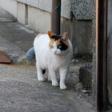 DSC_1170.JPG